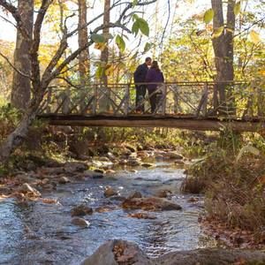 Meet your Posher, Tami